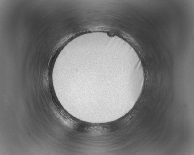 X0000080140298200701051520
