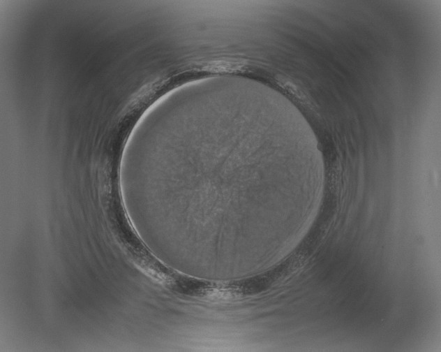 X0000080140303200701051520