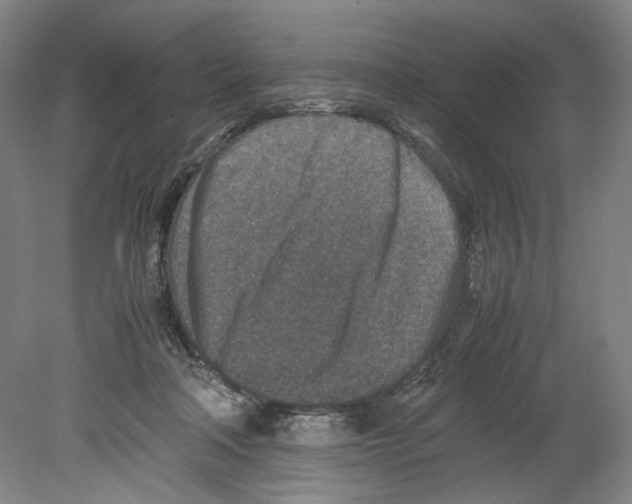 X0000080140314200701051520