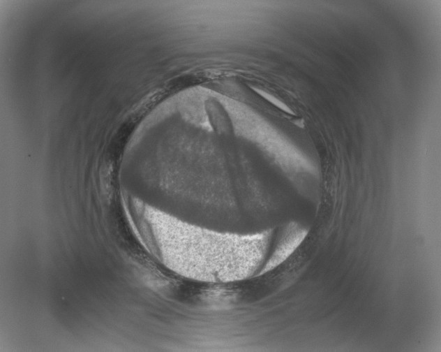 X0000080140319200701051520