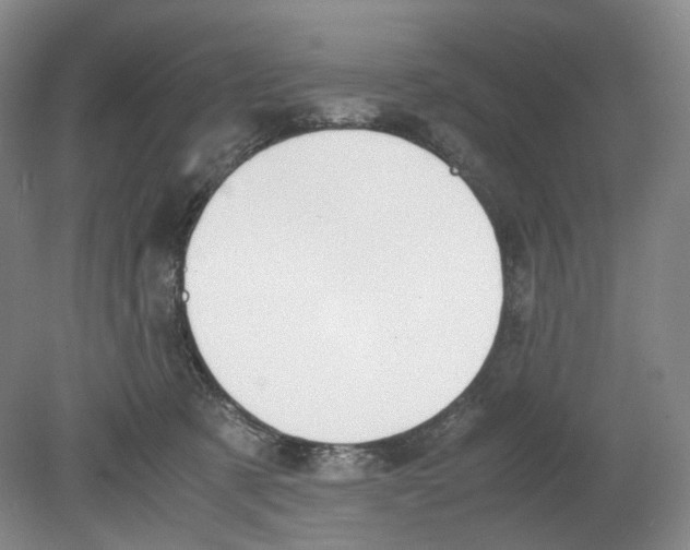 X0000080140321200701051520