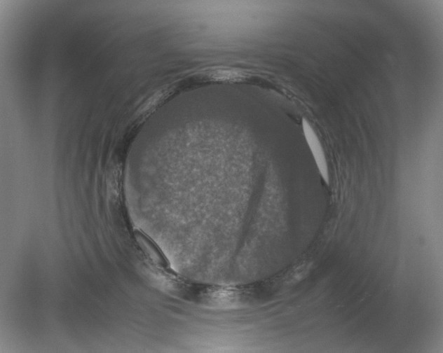 X0000080140325200701051520