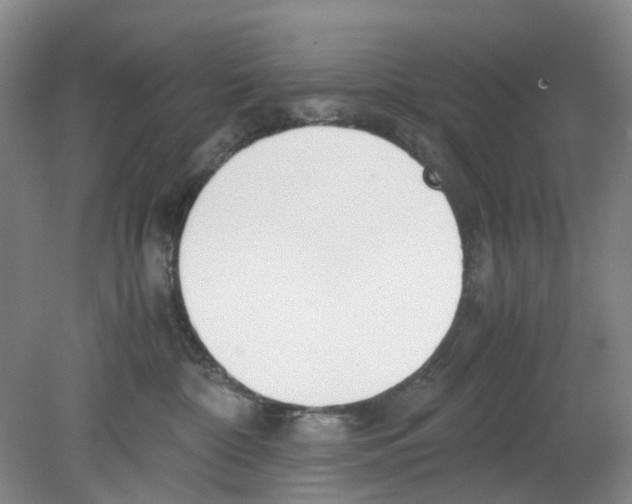 X0000080140332200701051520