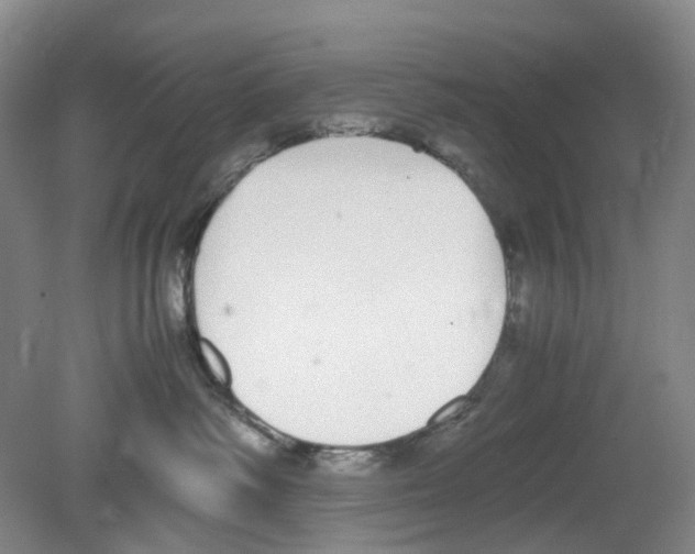 X0000080140334200701051520