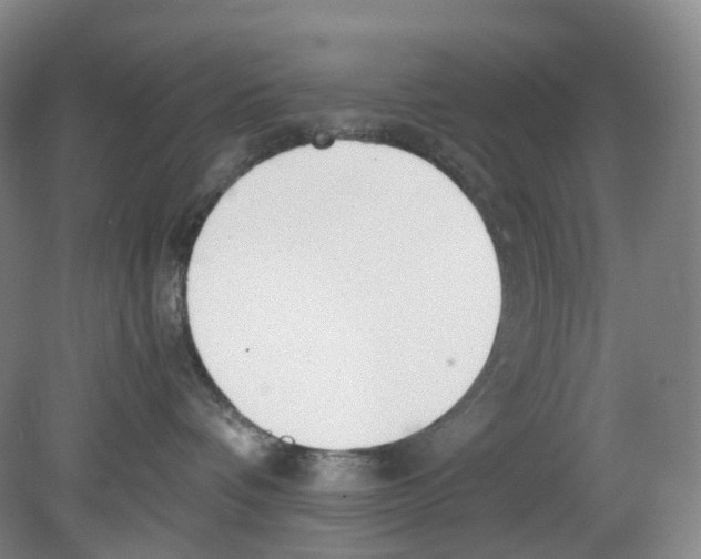 X0000080140336200701051520