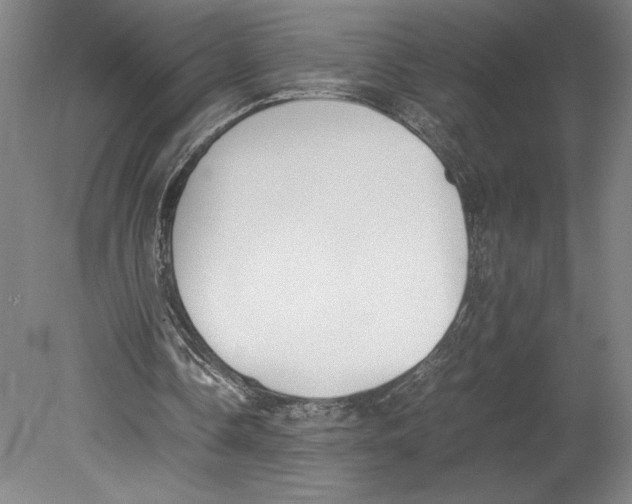 X0000080140338200701051519