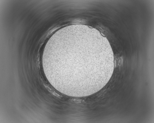 X0000080140339200701051519