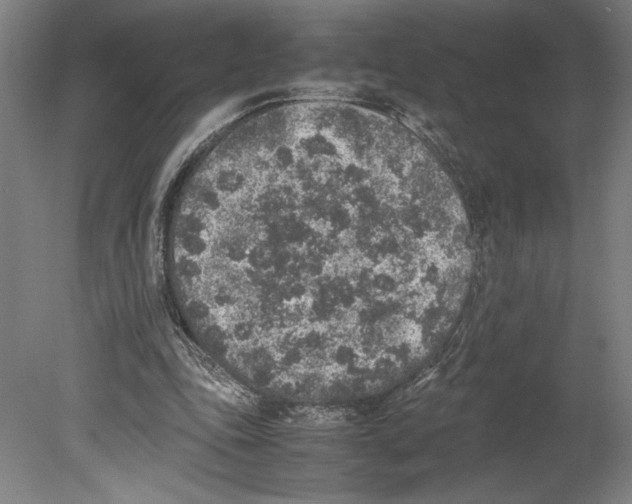 X0000080140343200701051519
