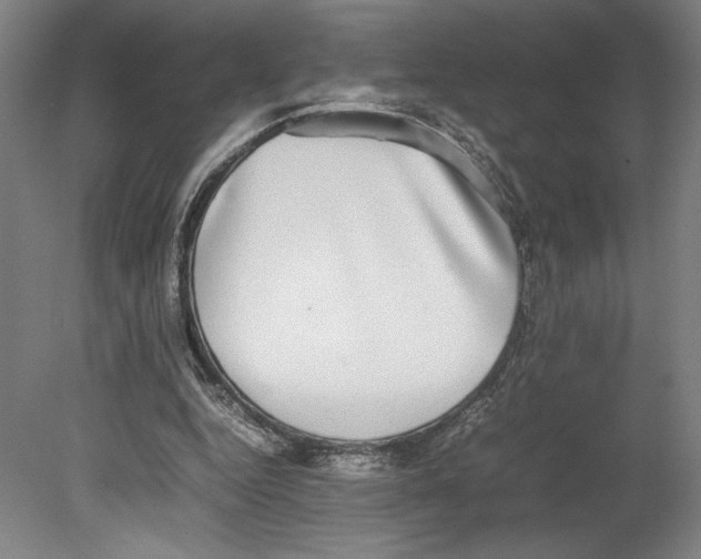 X0000080140344200701051519
