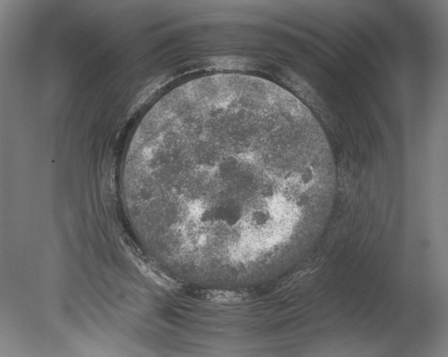 X0000080140347200701051519