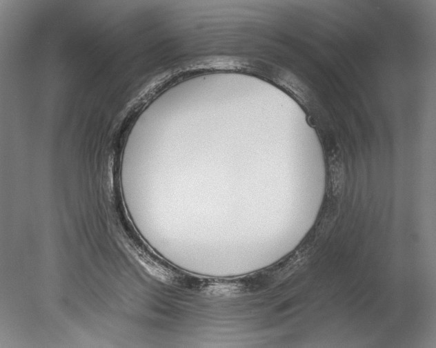 X0000080140350200701051519