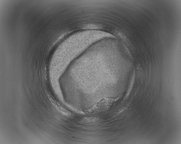 X0000080140351200701051519