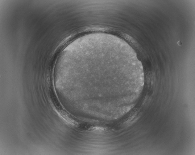 X0000080140352200701051519