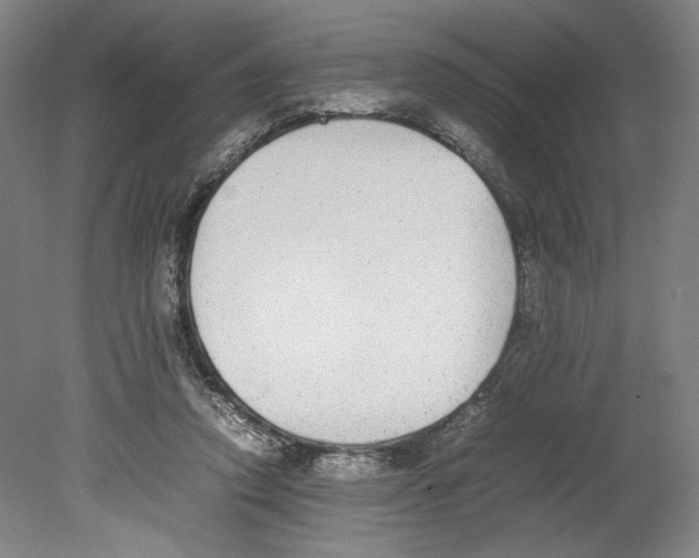 X0000080140354200701051519