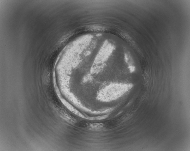 X0000080140355200701051519
