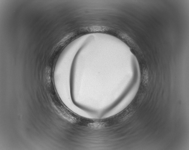 X0000080140356200701051519