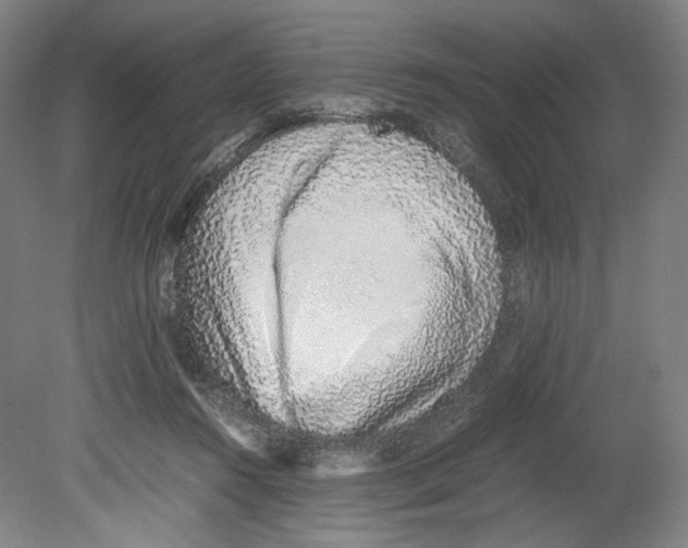 X0000080140360200701051519
