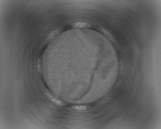 X0000080140361200701051519