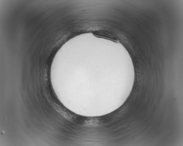 X0000080140362200701051519