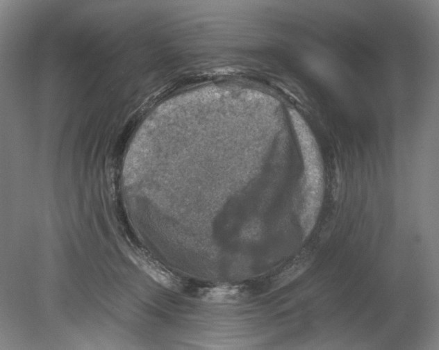X0000080140366200701051519