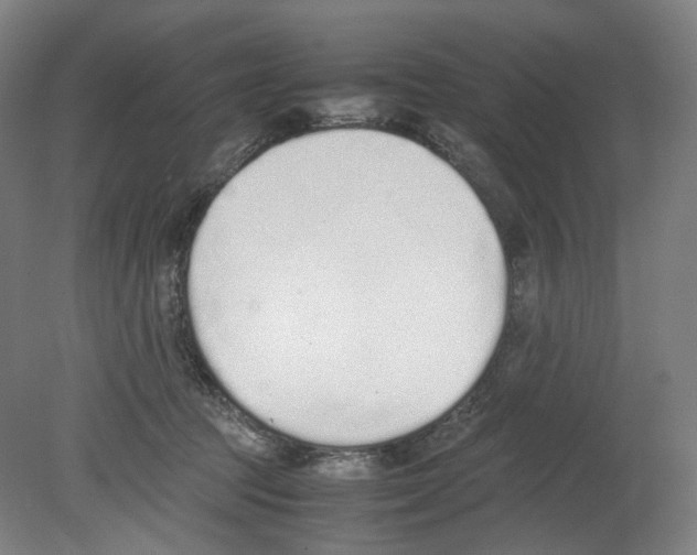 X0000080140369200701051519