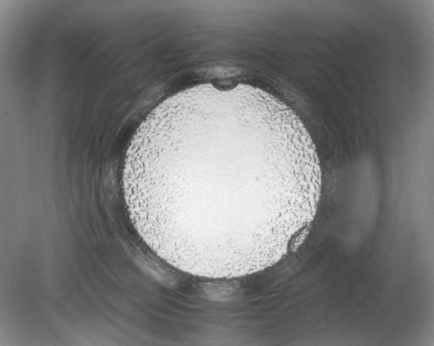 X0000080140373200701051519