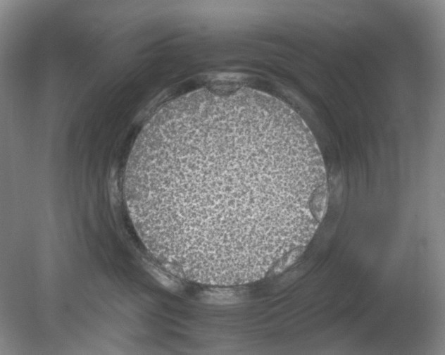 X0000080140381200701051520