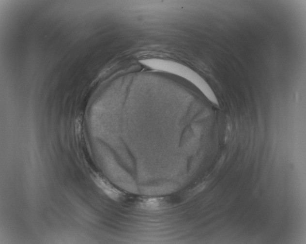 X0000080140382200701051520