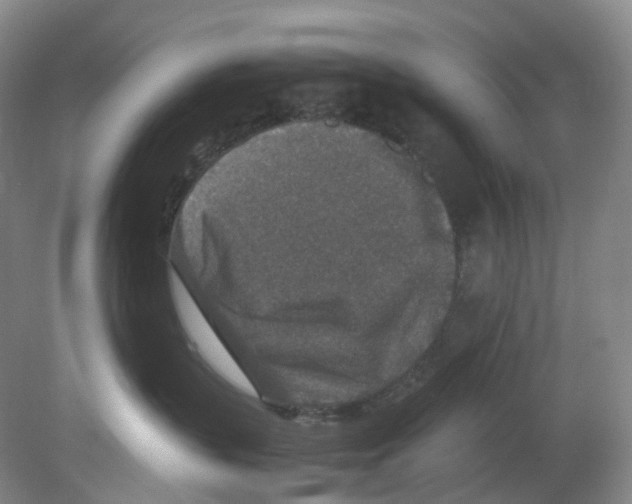 X0000080140383200701051520