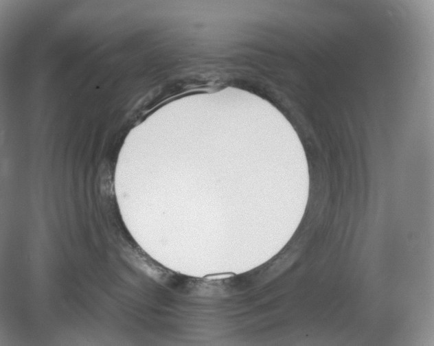 X0000080140384200701051520