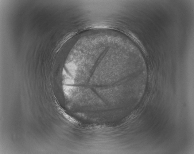 X0000080140385200701051519
