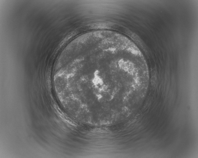 X0000080140386200701051519