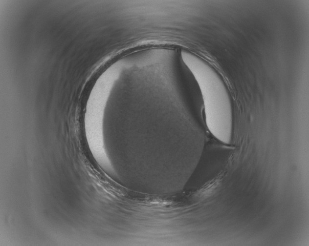 X0000080140387200701051519