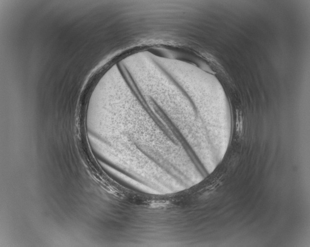 X0000080140388200701051519