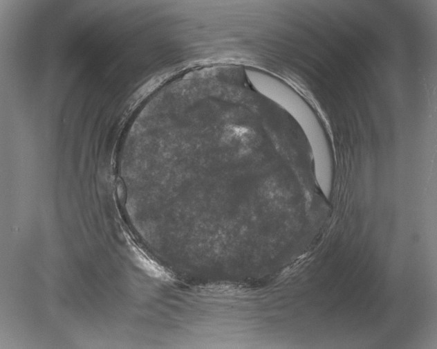X0000080140389200701051519