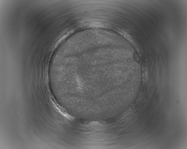 X0000080140390200701051519