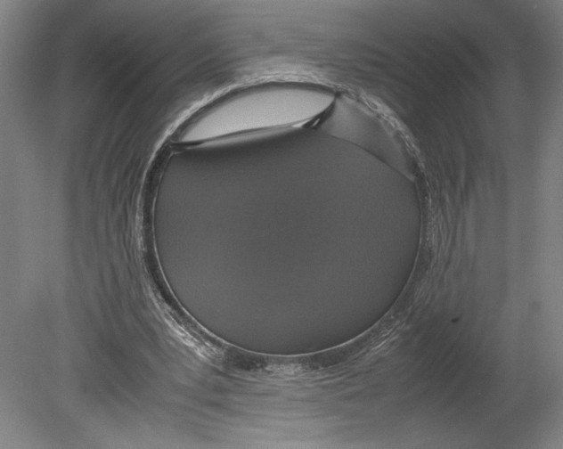 X0000080140391200701051519