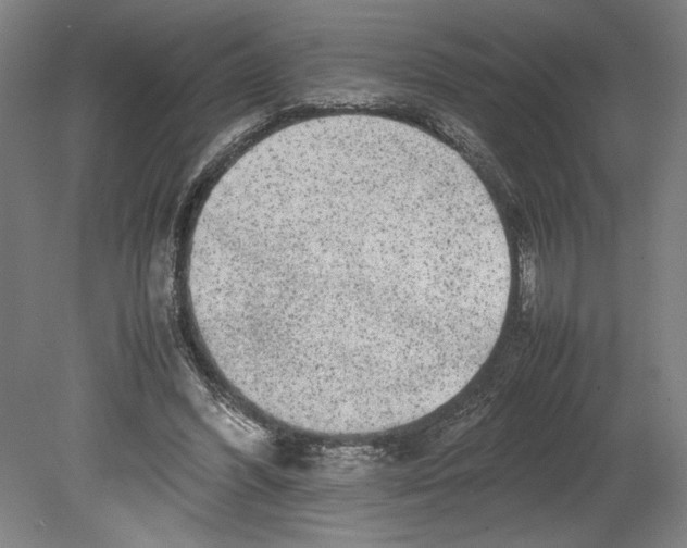 X0000080140396200701051519