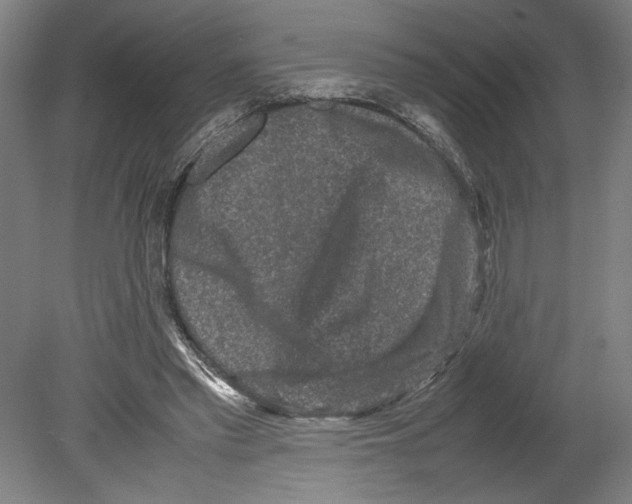 X0000080140397200701051519