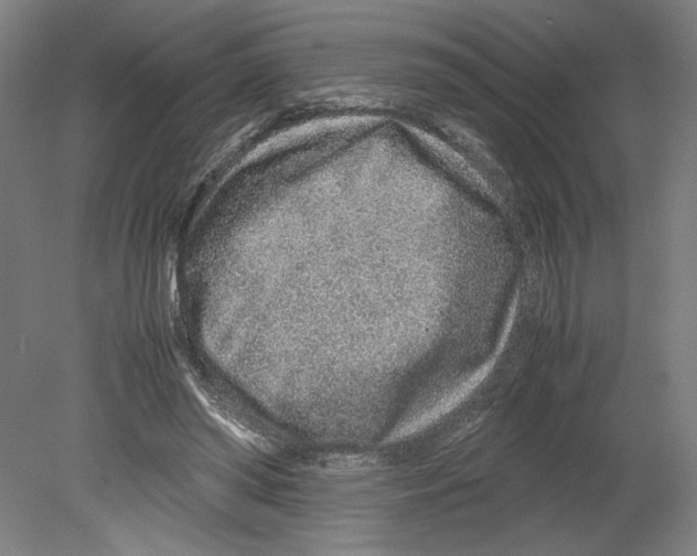 X0000080140398200701051519