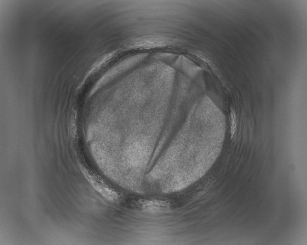 X0000080140400200701051519