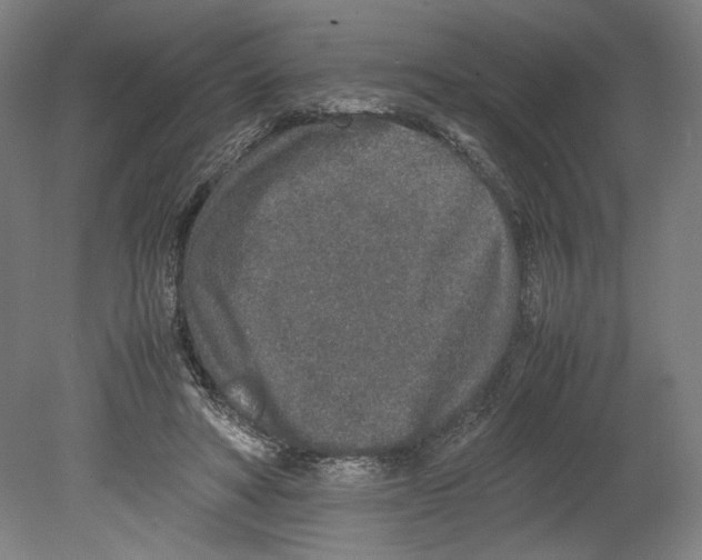 X0000080140402200701051519