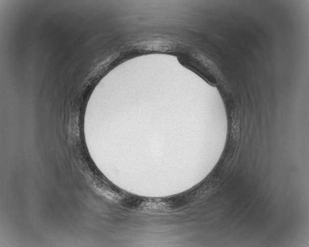 X0000080140403200701051519