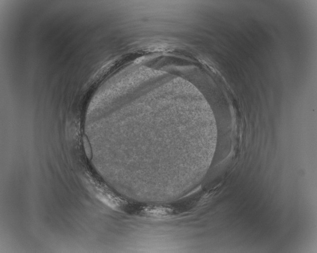X0000080140407200701051518