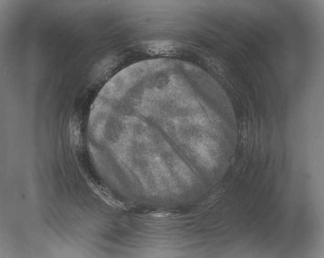 X0000080140408200701051518