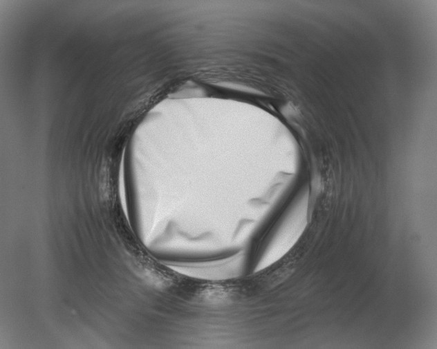 X0000080140416200701051518