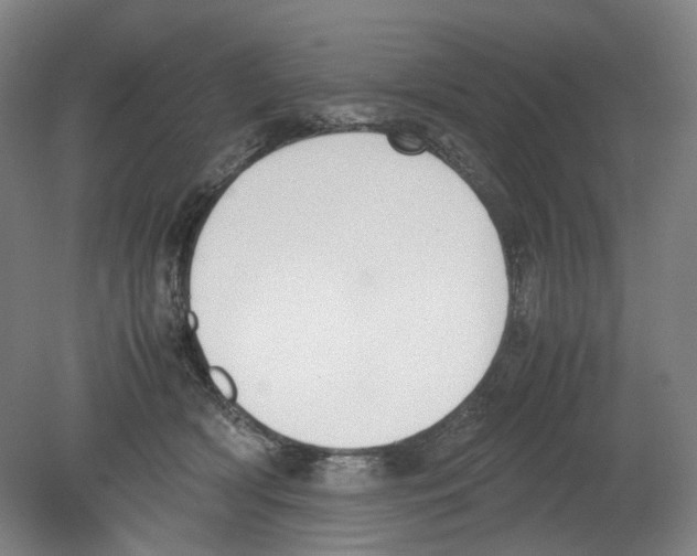 X0000080140418200701051518