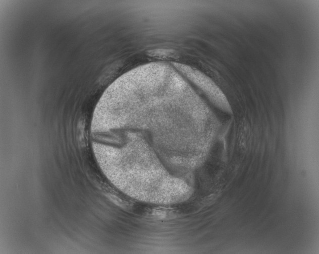 X0000080140420200701051518
