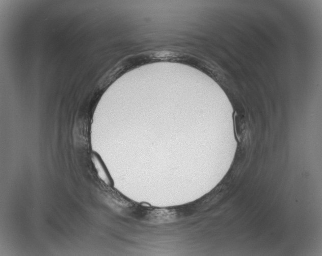 X0000080140421200701051518