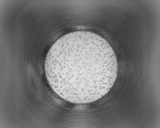 X0000080140422200701051518
